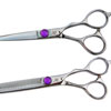 ideal set of hairdressing scissors